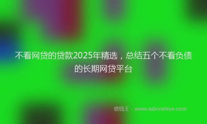 不看网贷的贷款2025年精选，总结五个不看负债的长期网贷平台
