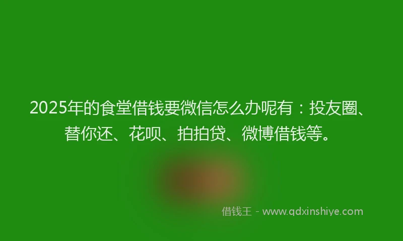 2025年的食堂借钱要微信怎么办呢有：投友圈、替你还、花呗、拍拍贷、微博借钱等。