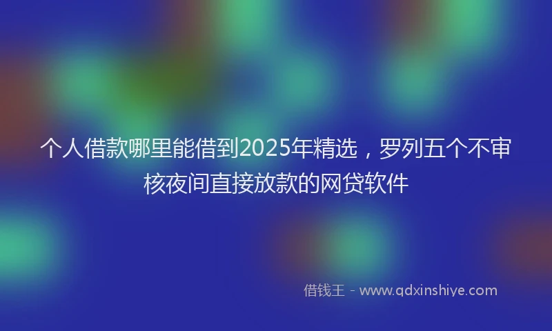 个人借款哪里能借到2025年精选，罗列五个不审核夜间直接放款的网贷软件