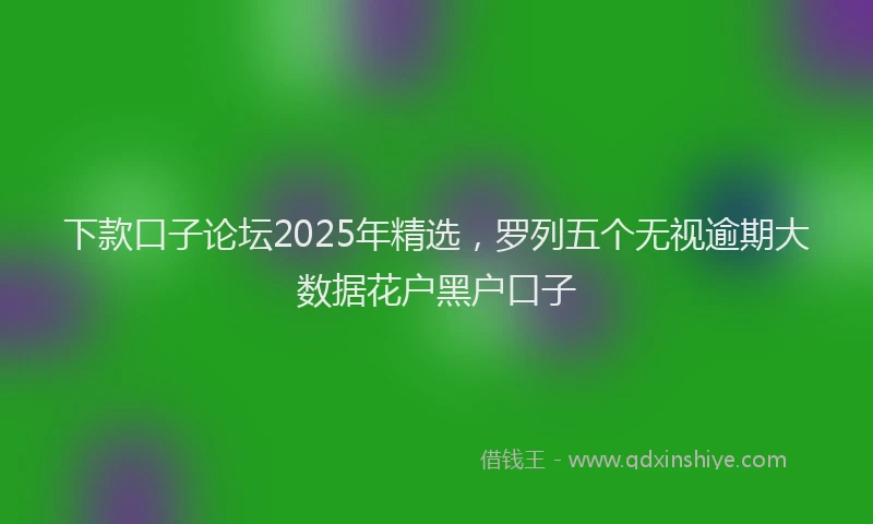 下款口子论坛2025年精选，罗列五个无视逾期大数据花户黑户口子