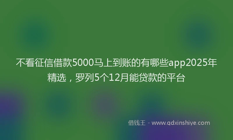 不看征信借款5000马上到账的有哪些app2025年精选，罗列5个12月能贷款的平台