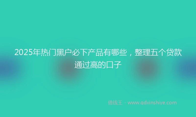 2025年热门黑户必下产品有哪些，整理五个贷款通过高的口子