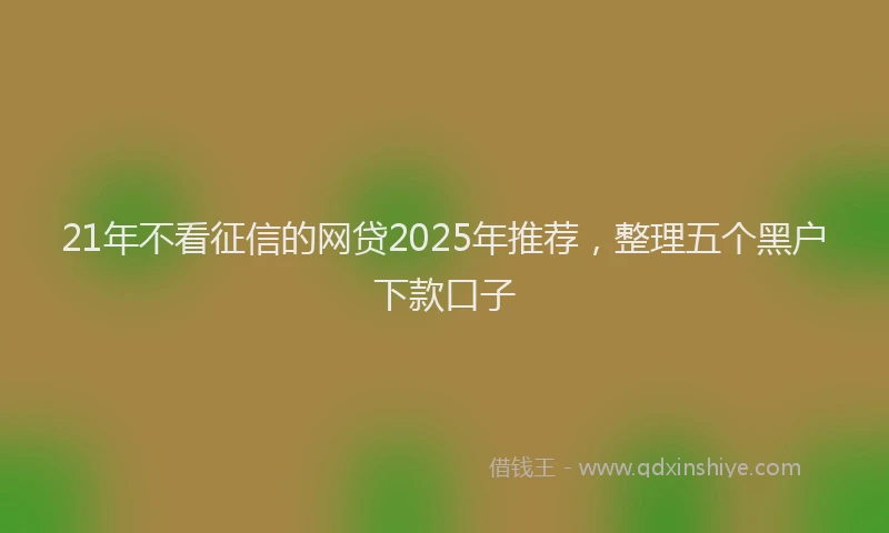 21年不看征信的网贷2025年推荐，整理五个黑户下款口子