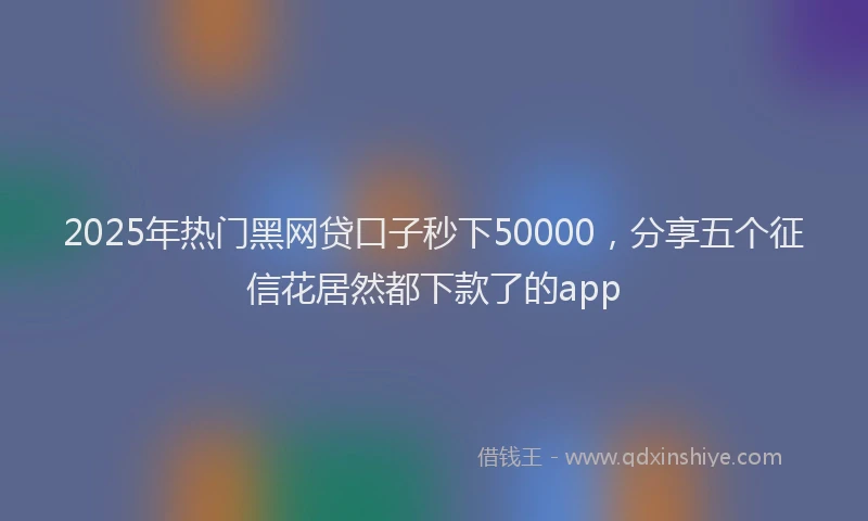 2025年热门黑网贷口子秒下50000，分享五个征信花居然都下款了的app