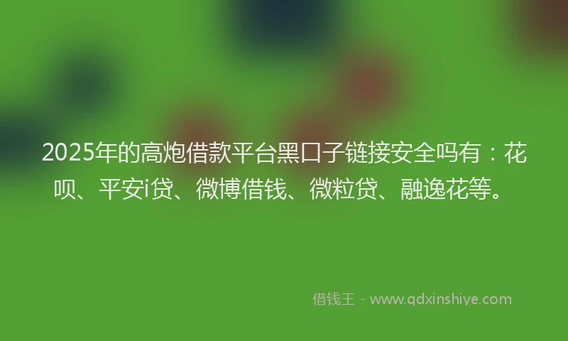 2025年的高炮借款平台黑口子链接安全吗有：花呗、平安i贷、微博借钱、微粒贷、融逸花等。