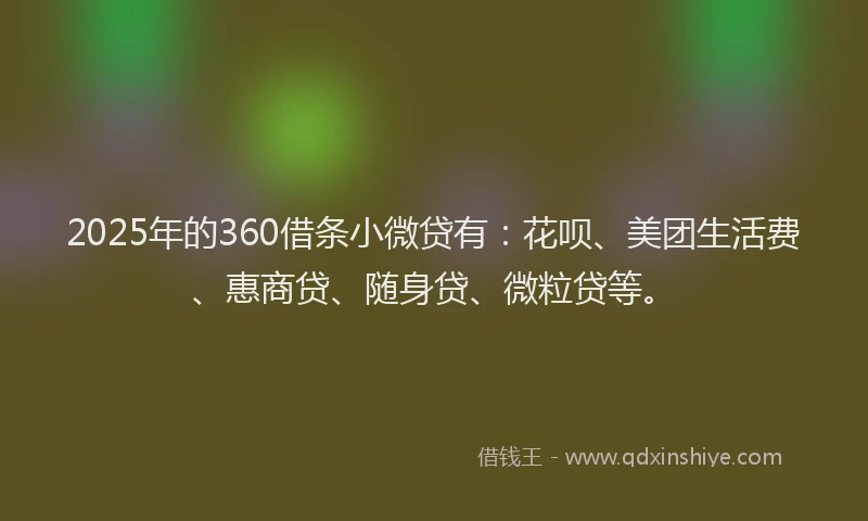2025年的360借条小微贷有：花呗、美团生活费、惠商贷、随身贷、微粒贷等。