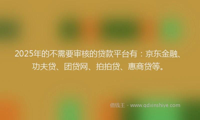 2025年的不需要审核的贷款平台有：京东金融、功夫贷、团贷网、拍拍贷、惠商贷等。