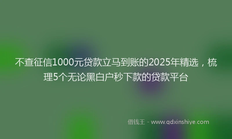不查征信1000元贷款立马到账的2025年精选，梳理5个无论黑白户秒下款的贷款平台