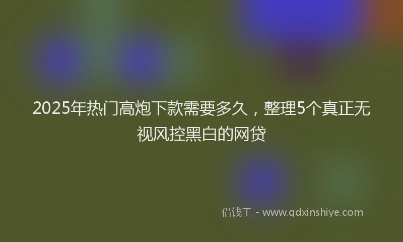 2025年热门高炮下款需要多久，整理5个真正无视风控黑白的网贷