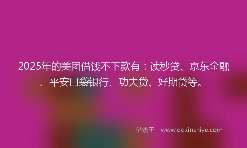 2025年的美团借钱不下款有：读秒贷、京东金融、平安口袋银行、功夫贷、好期贷等。