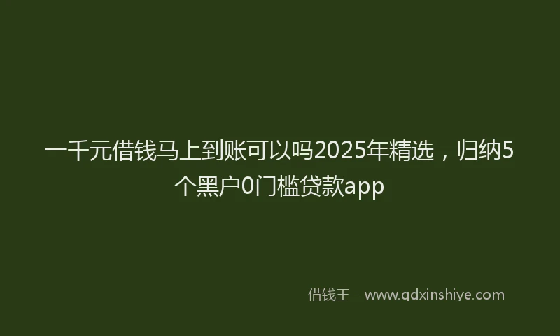 一千元借钱马上到账可以吗2025年精选，归纳5个黑户0门槛贷款app