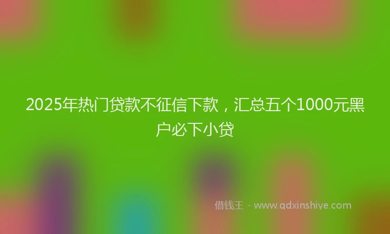 2025年热门贷款不征信下款，汇总五个1000元黑户必下小贷