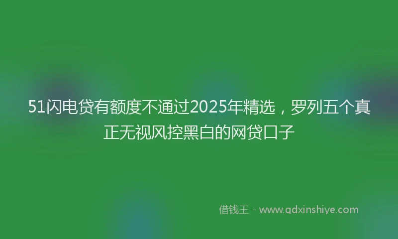 51闪电贷有额度不通过2025年精选，罗列五个真正无视风控黑白的网贷口子