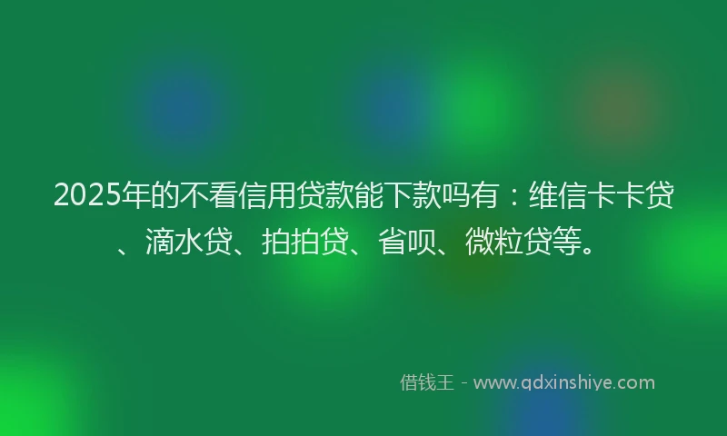 2025年的不看信用贷款能下款吗有：维信卡卡贷、滴水贷、拍拍贷、省呗、微粒贷等。
