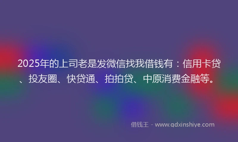 2025年的上司老是发微信找我借钱有：信用卡贷、投友圈、快贷通、拍拍贷、中原消费金融等。