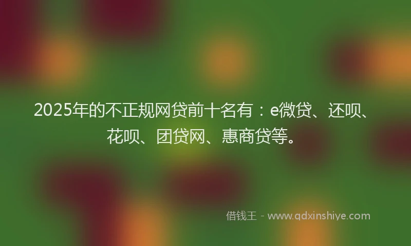 2025年的不正规网贷前十名有：e微贷、还呗、花呗、团贷网、惠商贷等。