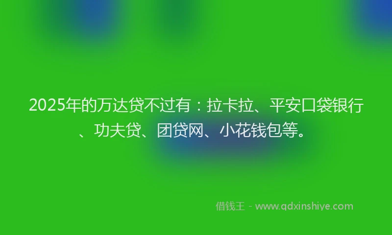 2025年的万达贷不过有：拉卡拉、平安口袋银行、功夫贷、团贷网、小花钱包等。