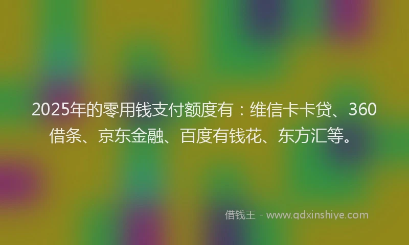 2025年的零用钱支付额度有：维信卡卡贷、360借条、京东金融、百度有钱花、东方汇等。