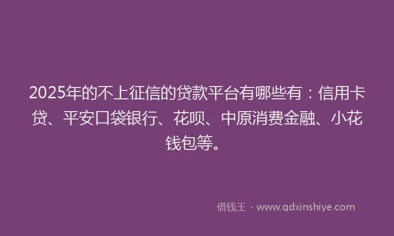 2025年的不上征信的贷款平台有哪些有：信用卡贷、平安口袋银行、花呗、中原消费金融、小花钱包等。