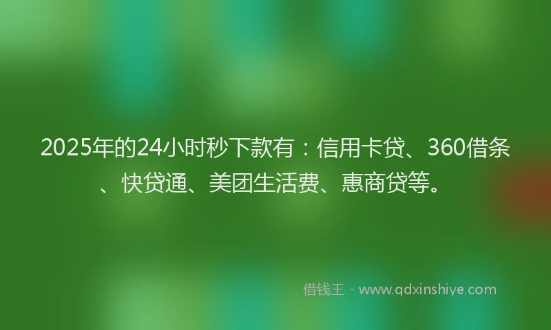 2025年的24小时秒下款有：信用卡贷、360借条、快贷通、美团生活费、惠商贷等。