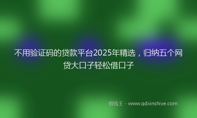 不用验证码的贷款平台2025年精选，归纳五个网贷大口子轻松借口子