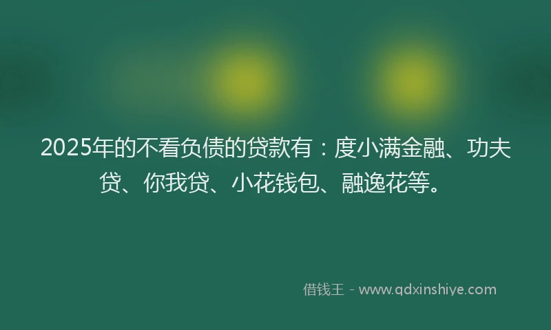 2025年的不看负债的贷款有：度小满金融、功夫贷、你我贷、小花钱包、融逸花等。