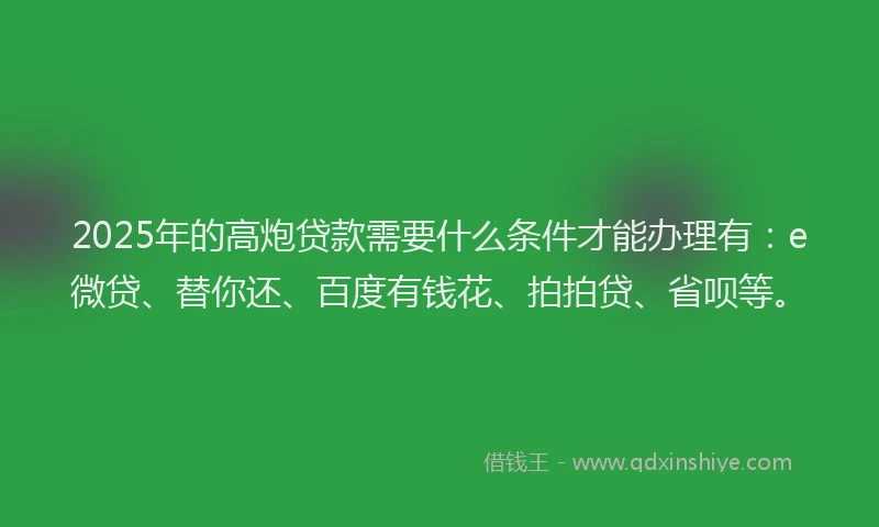 2025年的高炮贷款需要什么条件才能办理有：e微贷、替你还、百度有钱花、拍拍贷、省呗等。