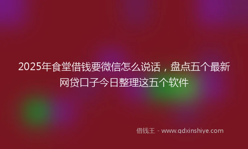 2025年食堂借钱要微信怎么说话，盘点五个最新网贷口子今日整理这五个软件