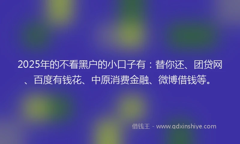 2025年的不看黑户的小口子有：替你还、团贷网、百度有钱花、中原消费金融、微博借钱等。