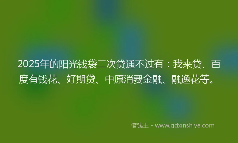 2025年的阳光钱袋二次贷通不过有：我来贷、百度有钱花、好期贷、中原消费金融、融逸花等。