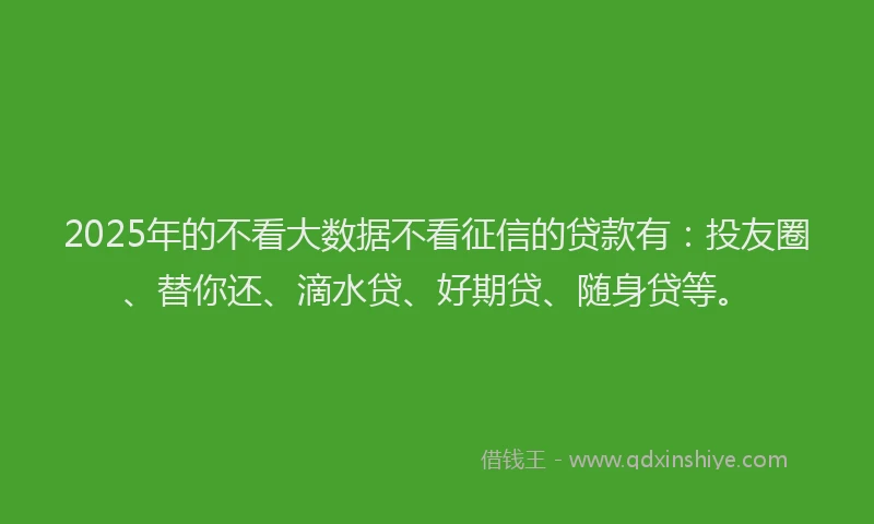 2025年的不看大数据不看征信的贷款有：投友圈、替你还、滴水贷、好期贷、随身贷等。