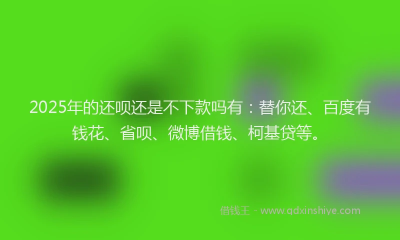 2025年的还呗还是不下款吗有：替你还、百度有钱花、省呗、微博借钱、柯基贷等。