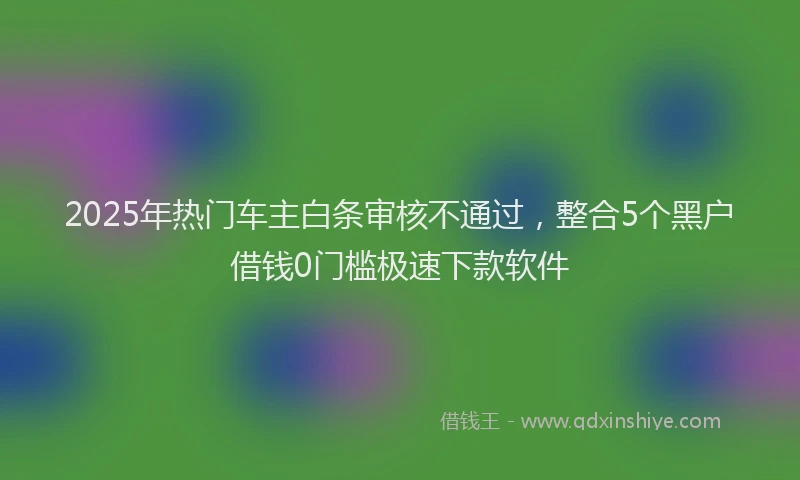 2025年热门车主白条审核不通过，整合5个黑户借钱0门槛极速下款软件