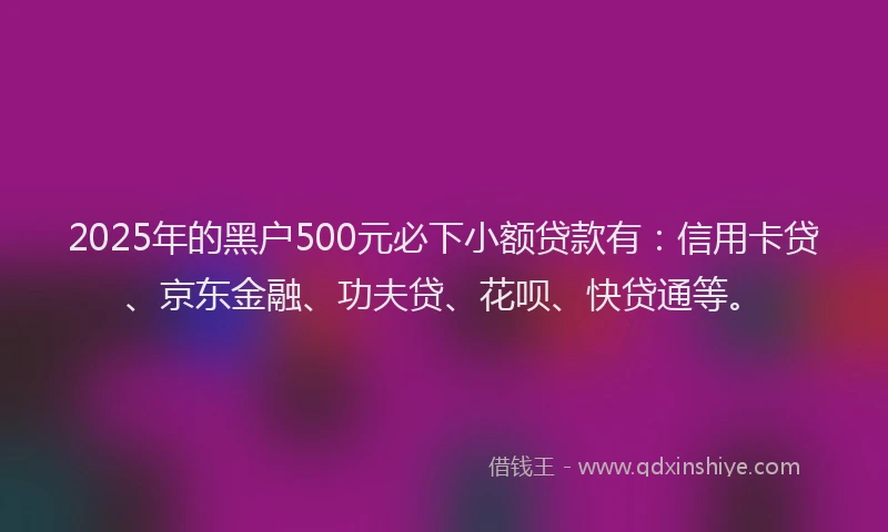 2025年的黑户500元必下小额贷款有：信用卡贷、京东金融、功夫贷、花呗、快贷通等。
