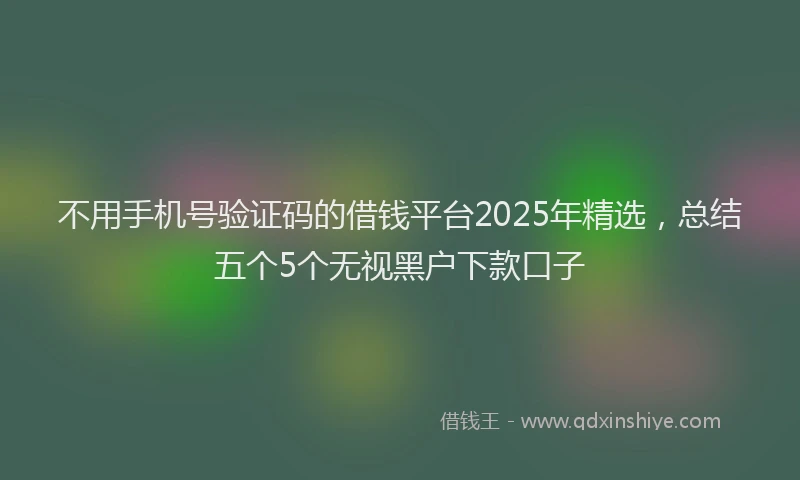 不用手机号验证码的借钱平台2025年精选，总结五个5个无视黑户下款口子