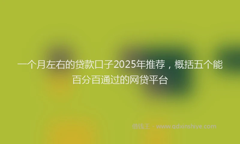 一个月左右的贷款口子2025年推荐，概括五个能百分百通过的网贷平台