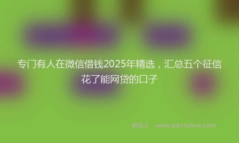 专门有人在微信借钱2025年精选，汇总五个征信花了能网贷的口子