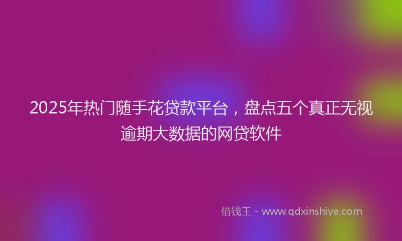 2025年热门随手花贷款平台，盘点五个真正无视逾期大数据的网贷软件