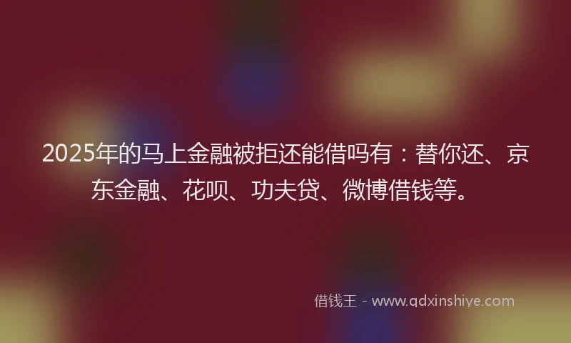 2025年的马上金融被拒还能借吗有：替你还、京东金融、花呗、功夫贷、微博借钱等。