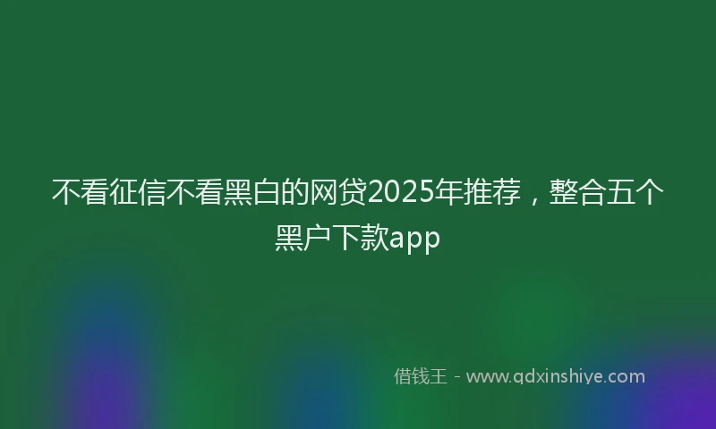 不看征信不看黑白的网贷2025年推荐，整合五个黑户下款app