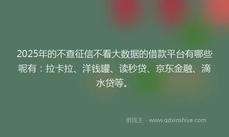 2025年的不查征信不看大数据的借款平台有哪些呢有：拉卡拉、洋钱罐、读秒贷、京东金融、滴水贷等。