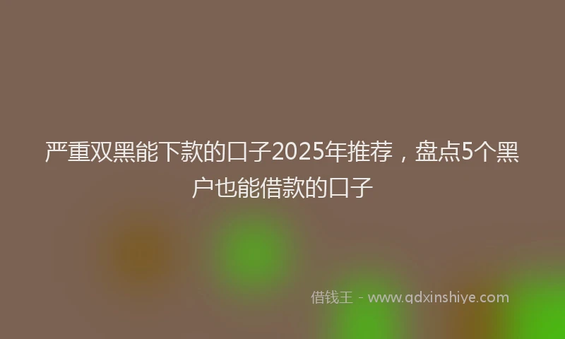 严重双黑能下款的口子2025年推荐，盘点5个黑户也能借款的口子
