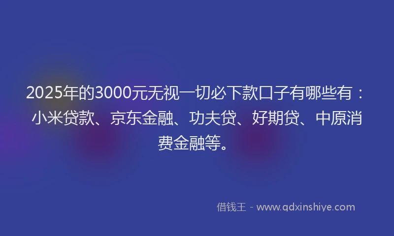 2025年的3000元无视一切必下款口子有哪些有：小米贷款、京东金融、功夫贷、好期贷、中原消费金融等。