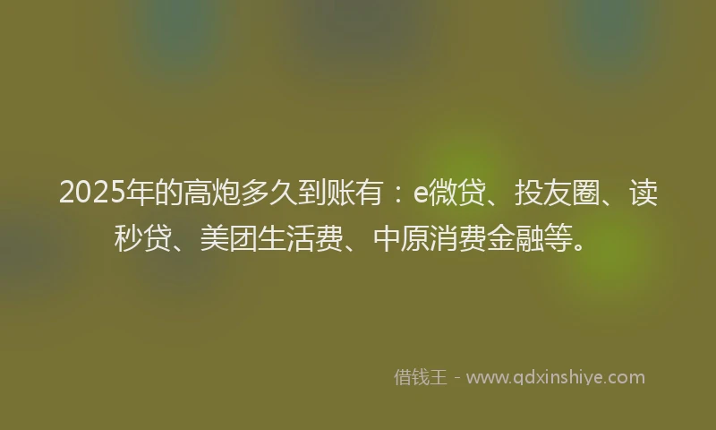 2025年的高炮多久到账有：e微贷、投友圈、读秒贷、美团生活费、中原消费金融等。