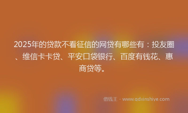 2025年的贷款不看征信的网贷有哪些有：投友圈、维信卡卡贷、平安口袋银行、百度有钱花、惠商贷等。