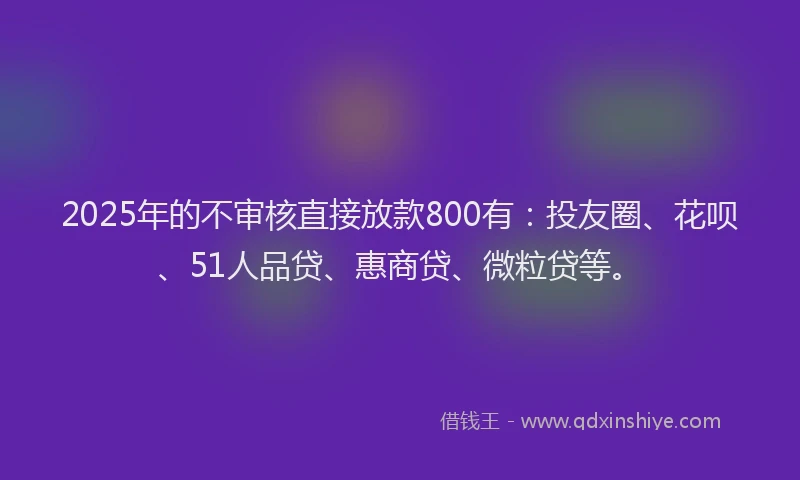 2025年的不审核直接放款800有：投友圈、花呗、51人品贷、惠商贷、微粒贷等。