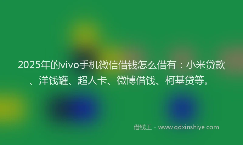 2025年的vivo手机微信借钱怎么借有：小米贷款、洋钱罐、超人卡、微博借钱、柯基贷等。