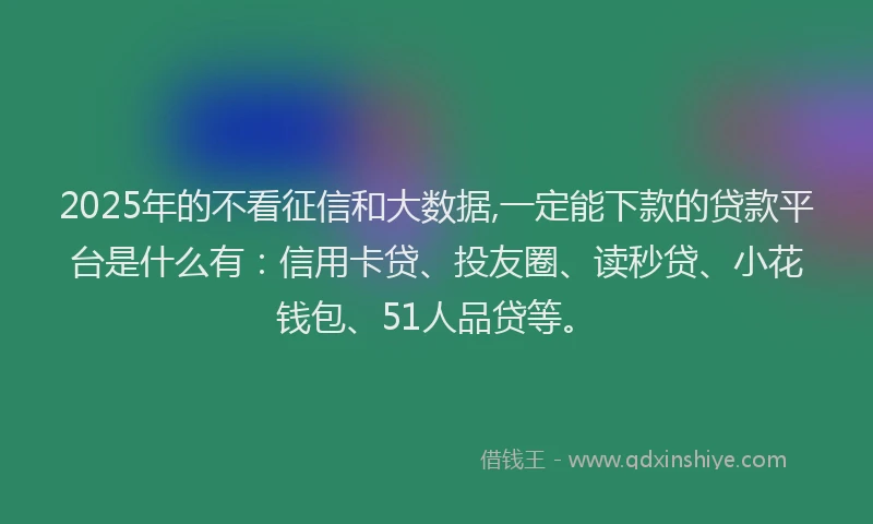 2025年的不看征信和大数据,一定能下款的贷款平台是什么有：信用卡贷、投友圈、读秒贷、小花钱包、51人品贷等。