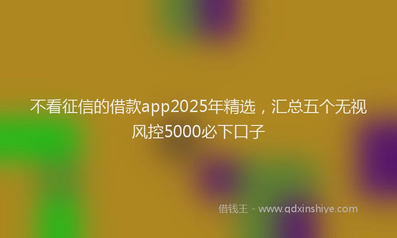 不看征信的借款app2025年精选，汇总五个无视风控5000必下口子