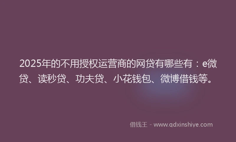 2025年的不用授权运营商的网贷有哪些有：e微贷、读秒贷、功夫贷、小花钱包、微博借钱等。